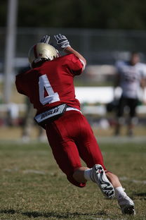 九游体育-五大联赛中下游球队是否易受心理波动影响表现，5大联赛球队  第2张