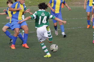 九游体育下载-女篮亚洲杯中国队力压日本夺冠，亚洲杯女子篮球赛中国对日本  第2张